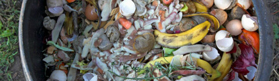 Commercial Composting