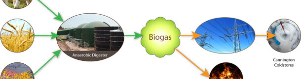 Managing Wasted Food with Anaerobic Digestion: Incentives and Innovations